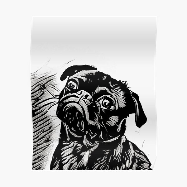 "Black Pug Dog Portrait" Poster for Sale by Ribsa Redbubble