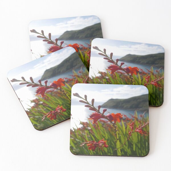 Item preview, Montbretia (Crocosmia) designed and sold by IOMWildFlowers.