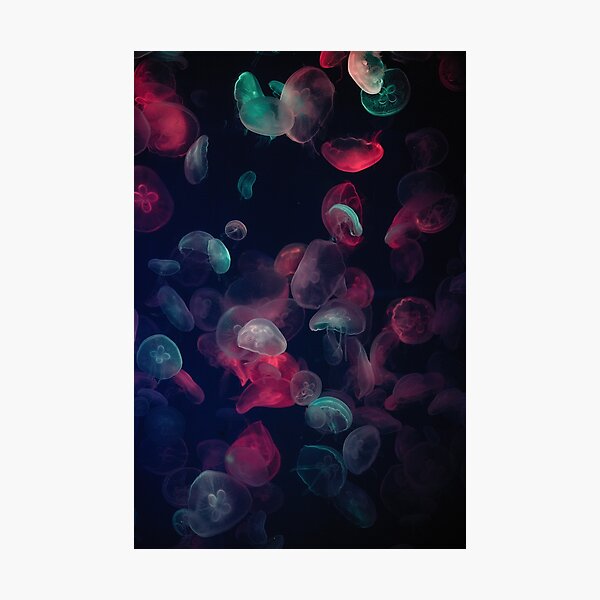 Illuminated Aqua Jellyfishes Photographic Print