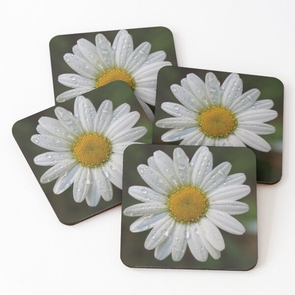Item preview, Dewdrop Daisy designed and sold by ShutterBug365.