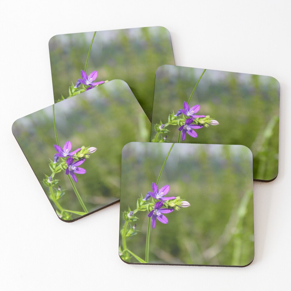 Item preview, Coasters (Set of 4) designed and sold by ShutterBug365.
