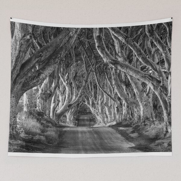 Item preview, Dark Hedges, Co. Antrim, Northern Ireland designed and sold by Tom  Mackie.