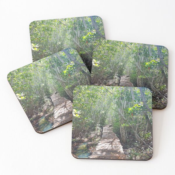 Item preview, Pathway through mangrove designed and sold by mexicocassie.