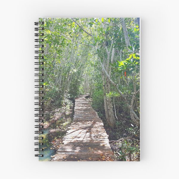 Item preview, Pathway through mangrove designed and sold by mexicocassie.
