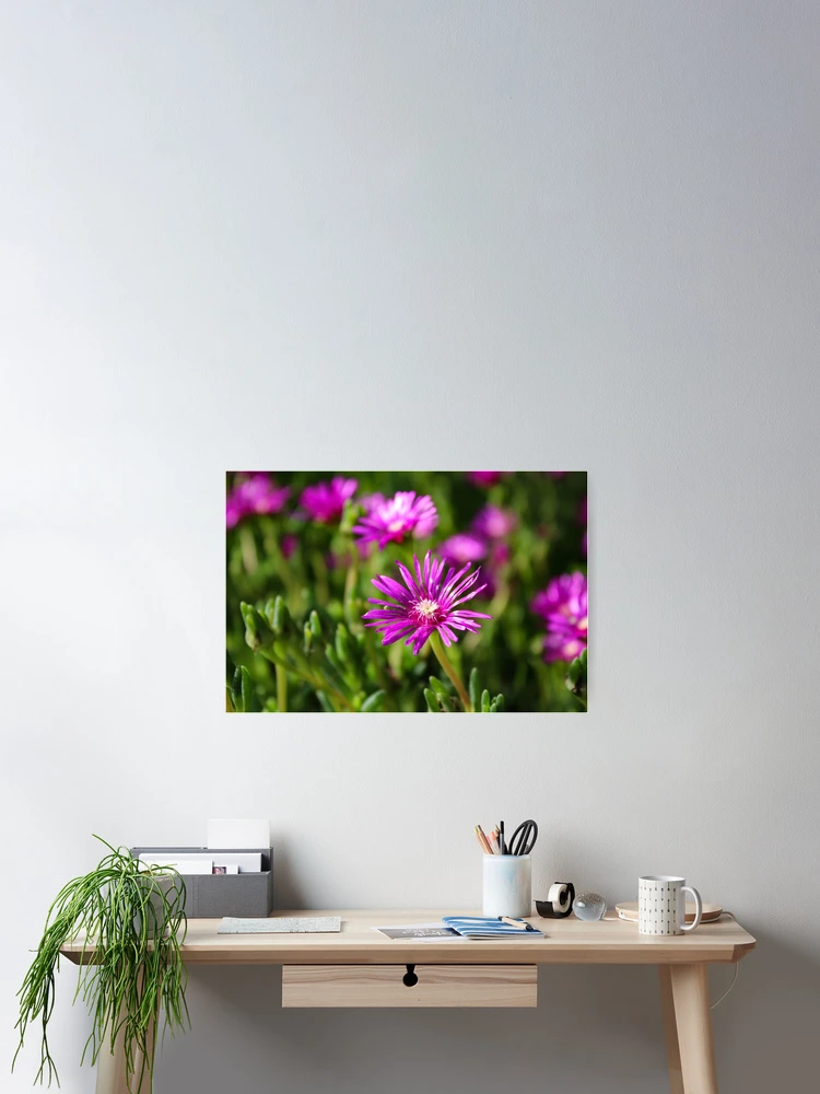 Thumbnail 2 of 3, Poster, Pink fields designed and sold by ShutterBug365.