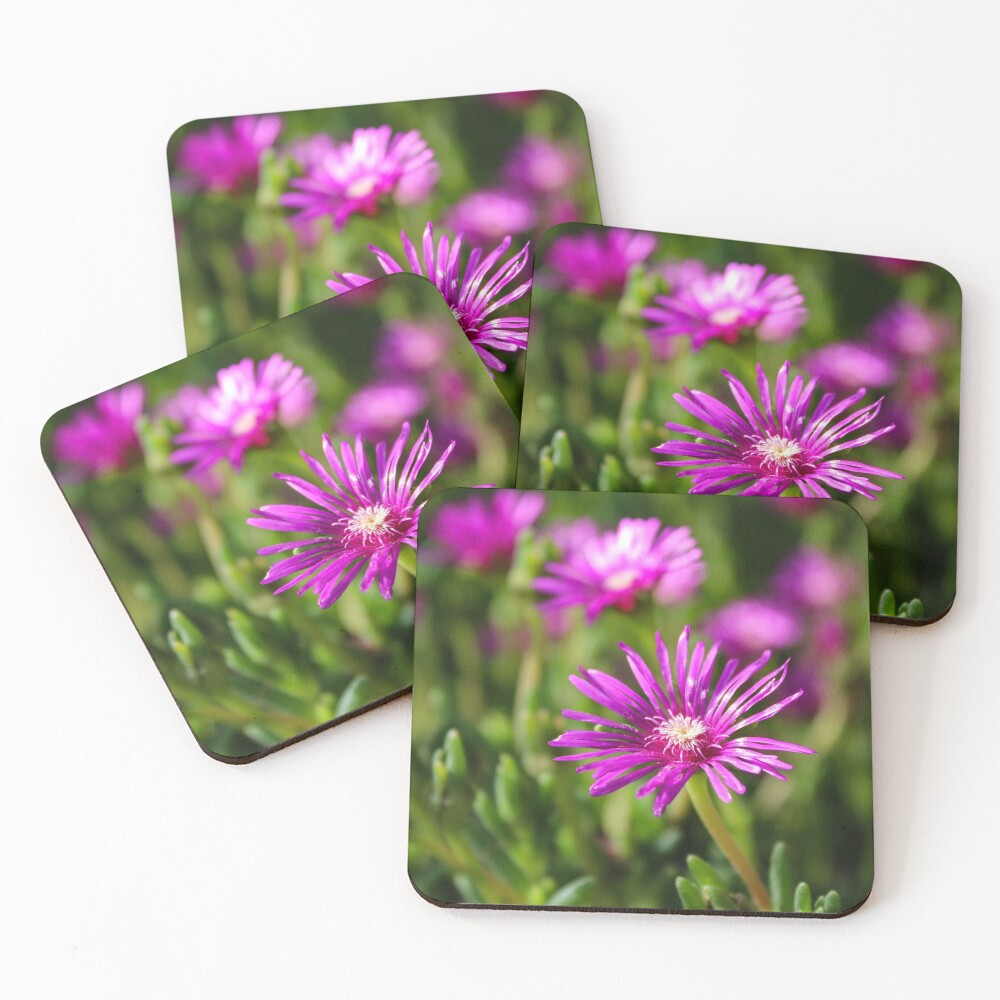 Item preview, Coasters (Set of 4) designed and sold by ShutterBug365.