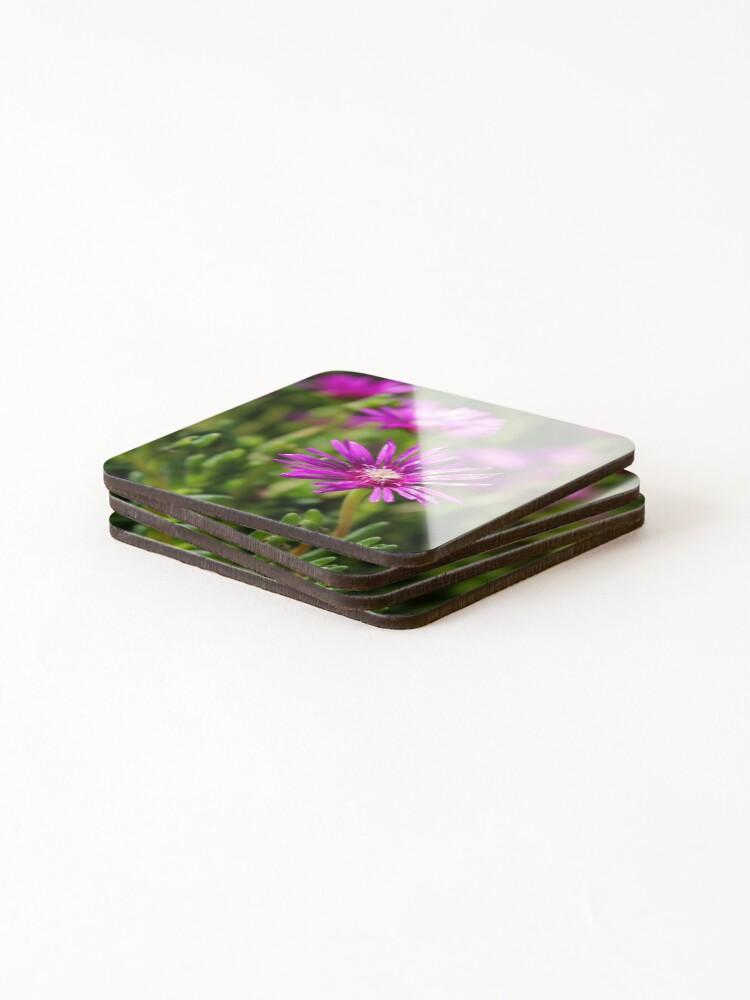 Thumbnail 4 of 5, Coasters (Set of 4), Pink fields designed and sold by ShutterBug365.