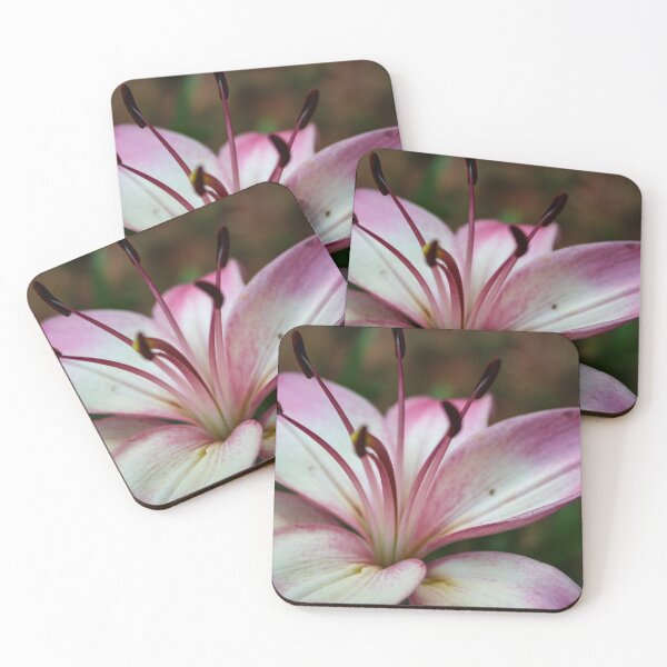 Item preview, Lilly designed and sold by ShutterBug365.
