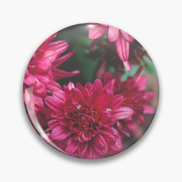 Item preview, Fall mums designed and sold by ShutterBug365.