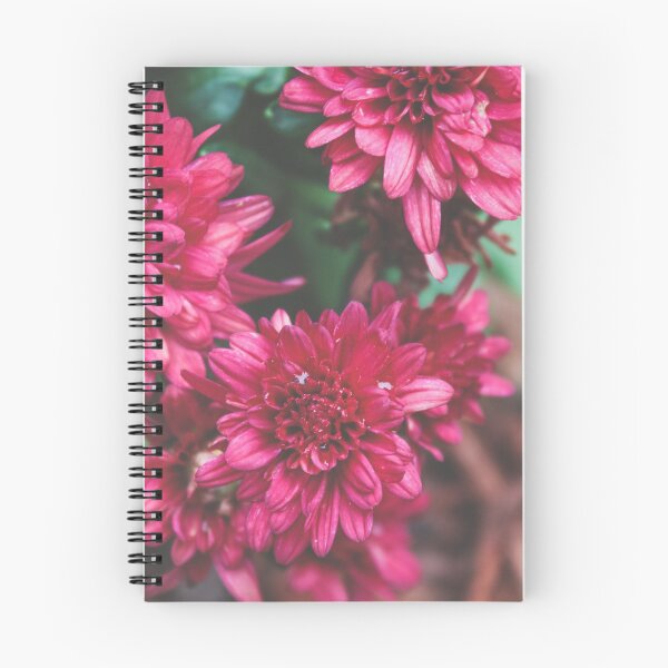 Item preview, Fall mums designed and sold by ShutterBug365.