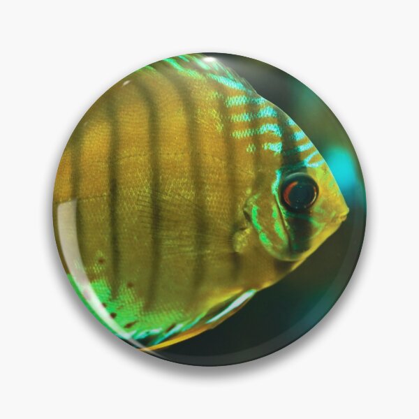 Item preview, A fish designed and sold by Dominika Aniola.