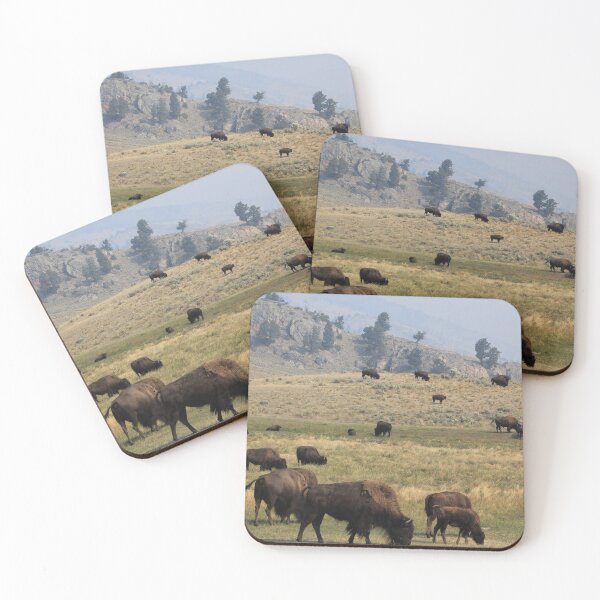 Item preview, Bison on the range designed and sold by Zach Auerbach.