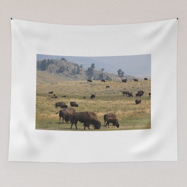 Item preview, Bison on the range designed and sold by Zach Auerbach.