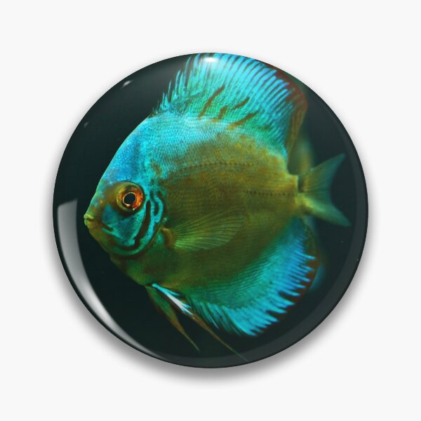 Item preview, A fish 1 designed and sold by Dominika Aniola.