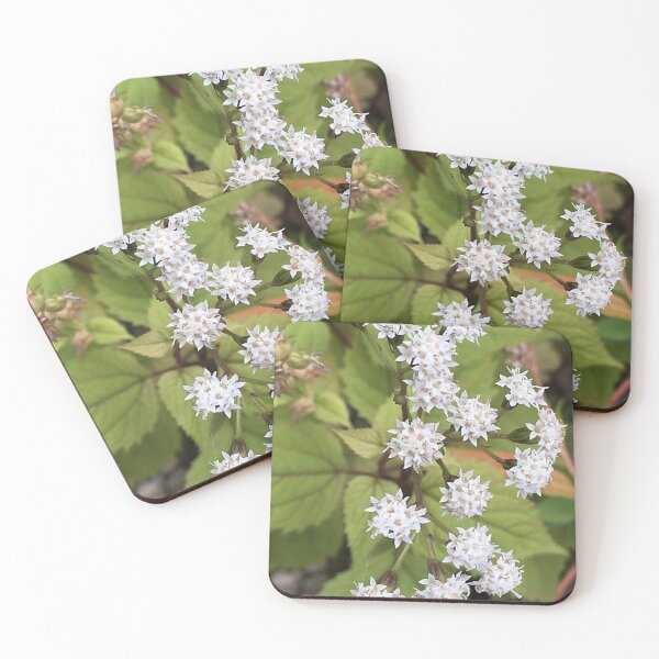 Item preview, Unidentified Flowering Object designed and sold by Stephanie Fay.