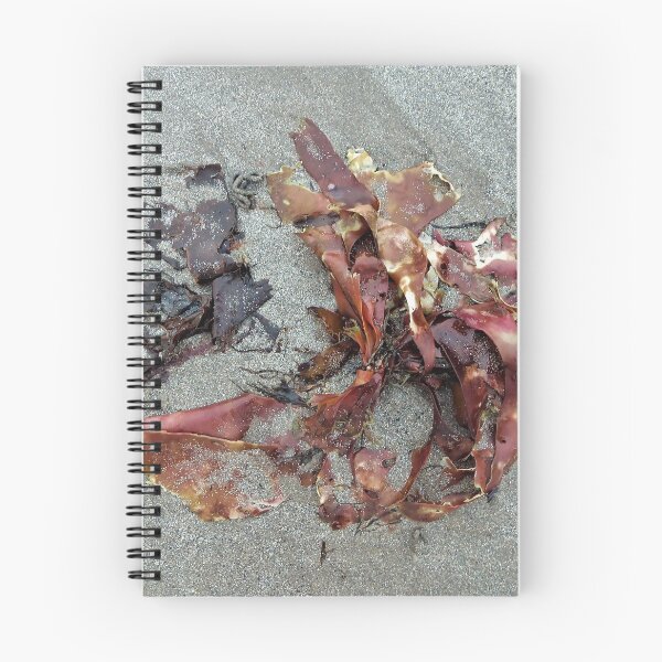 Item preview, Seaweed 1 designed and sold by Fara.
