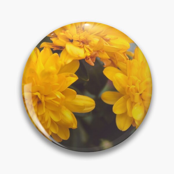 Item preview, Golden mums designed and sold by ShutterBug365.