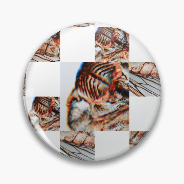 Cicada Scramble Pin