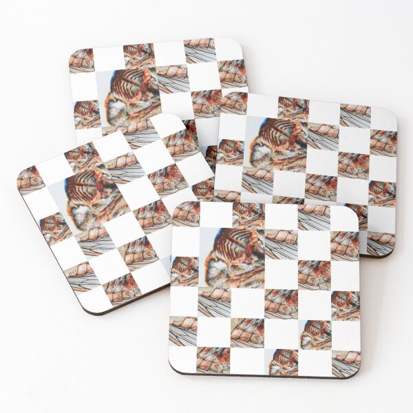 Item preview, Cicada Scramble designed and sold by Joseph Deans.