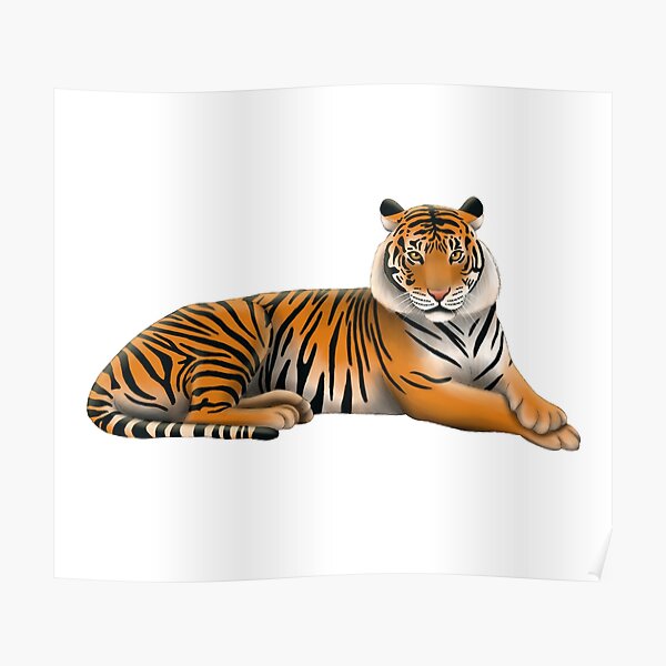 Sumatran Tiger Poster By Troyanthonyart Redbubble