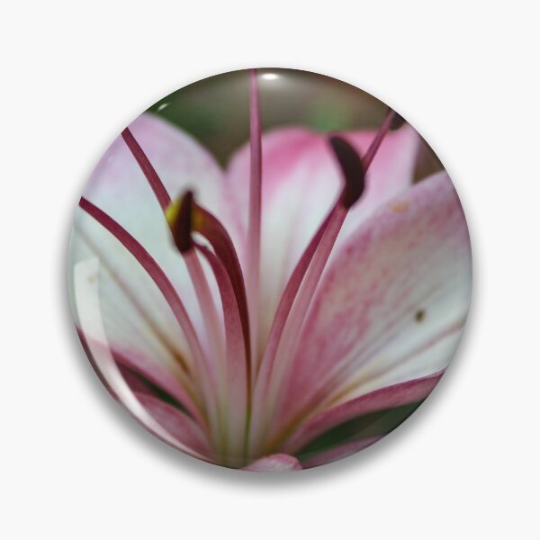 Item preview, Lilly designed and sold by ShutterBug365.
