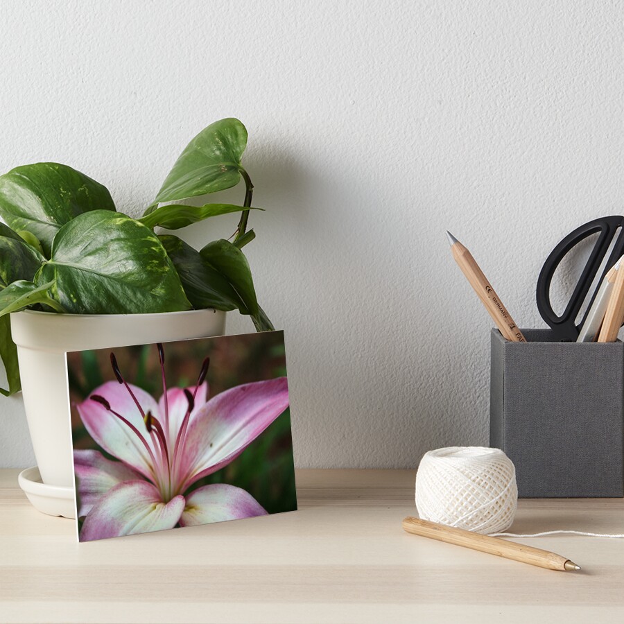 Item preview, Art Board Print designed and sold by ShutterBug365.