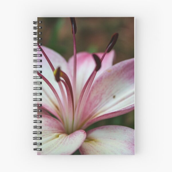 Item preview, Lilly designed and sold by ShutterBug365.