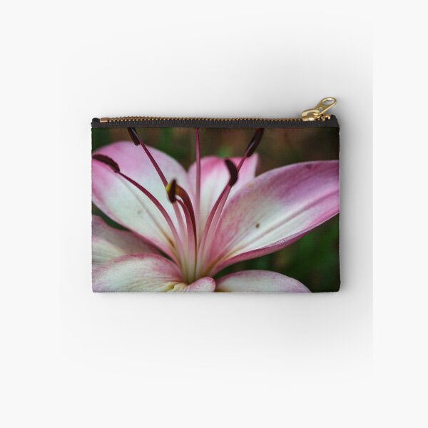 Item preview, Lilly designed and sold by ShutterBug365.