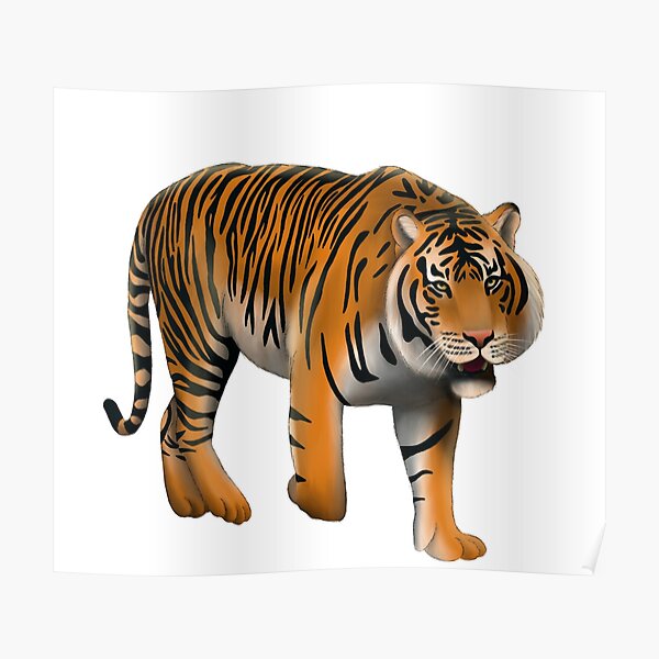 Sumatran Tiger Poster For Sale By Troyanthonyart Redbubble