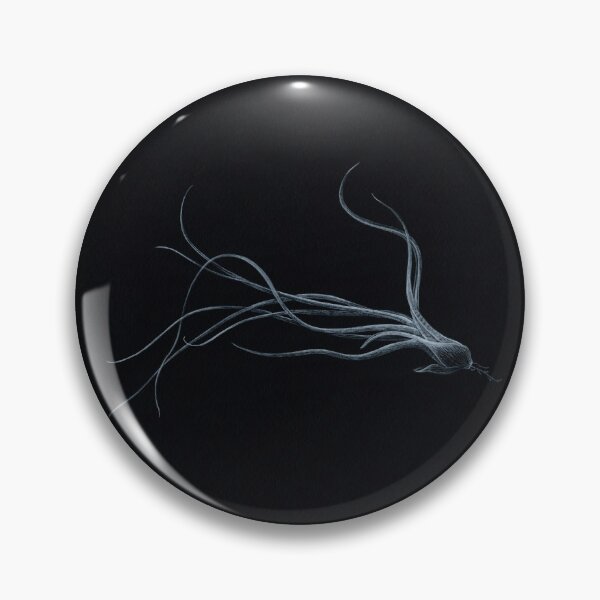 Item preview, Air plant. Tillandsia on black. Hand drawn illustration.  designed and sold by Antonina Sotnikova.
