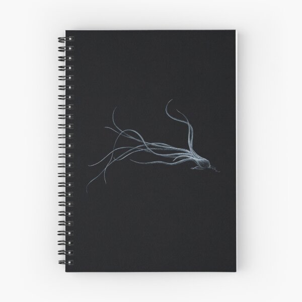 Item preview, Air plant. Tillandsia on black. Hand drawn illustration.  designed and sold by Antonina Sotnikova.