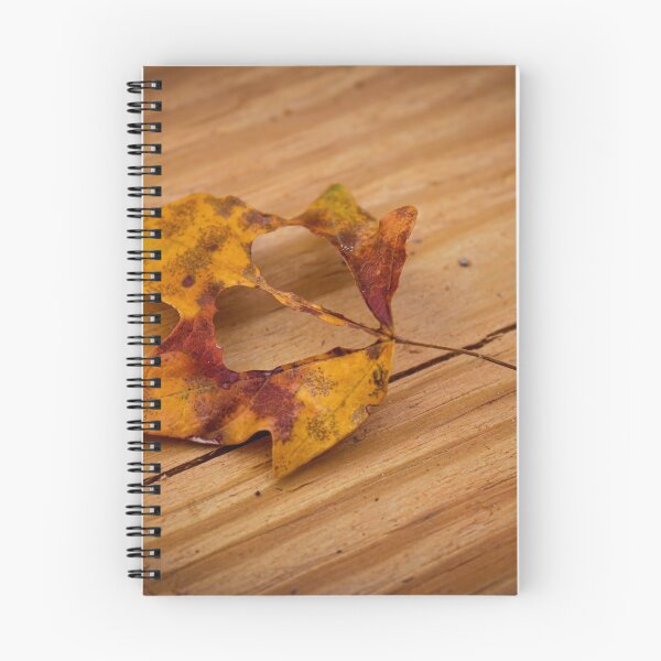 Item preview, Fall love designed and sold by ShutterBug365.