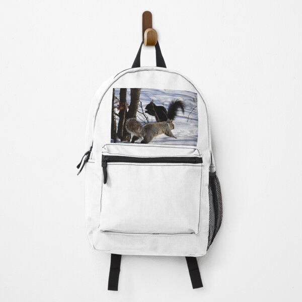 Dune 2024 dacia backpack