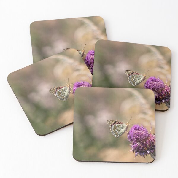 Item preview, Butterfly on a flower designed and sold by pietrofoto.
