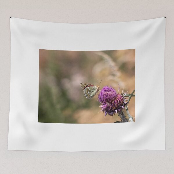 Item preview, Butterfly on a flower designed and sold by pietrofoto.