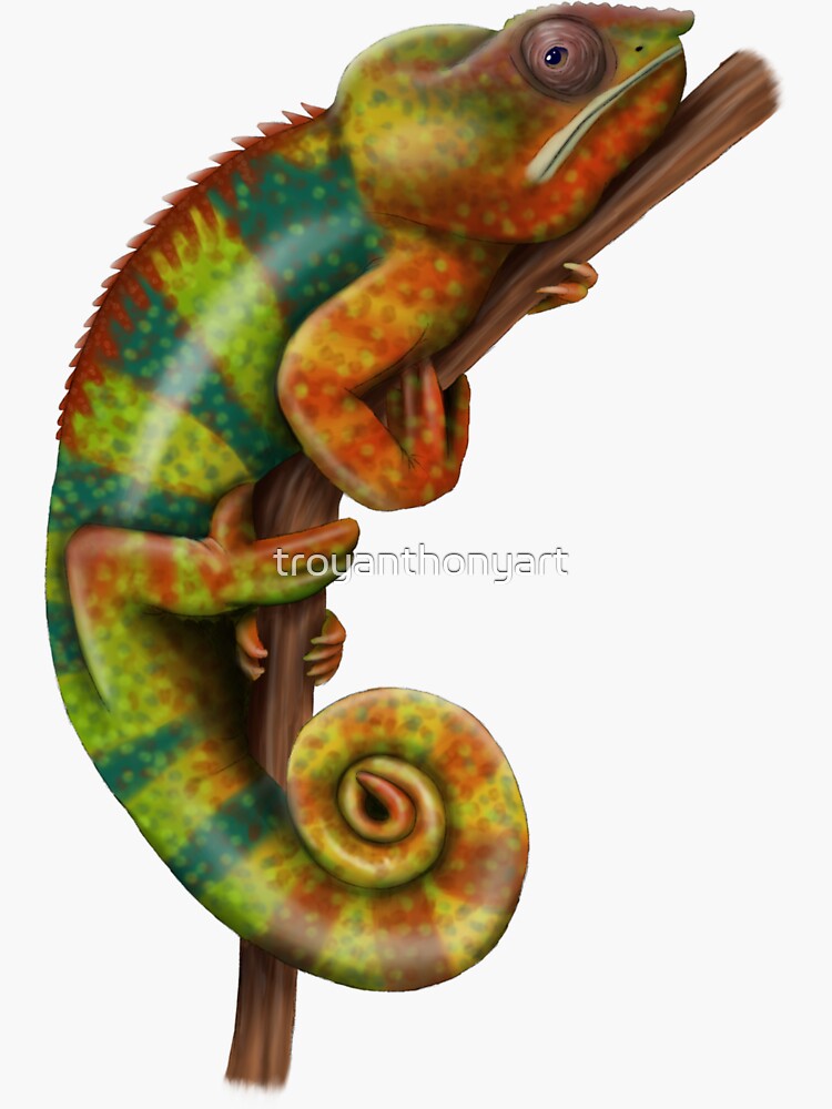 Colorful Rainbow Chameleon Sticker For Sale By Troyanthonyart Redbubble 3166