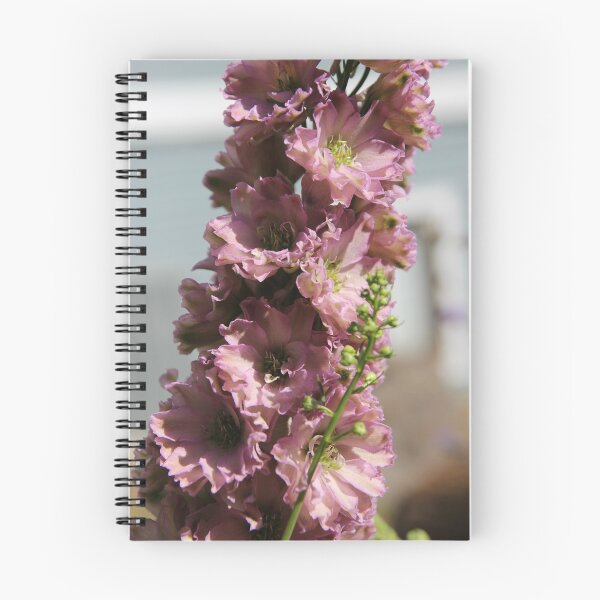 Item preview, Pink Delphinium designed and sold by photosbyastra.