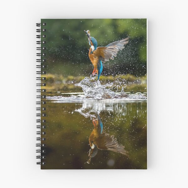 Item preview, Reflections of a Kingfisher designed and sold by FXST.