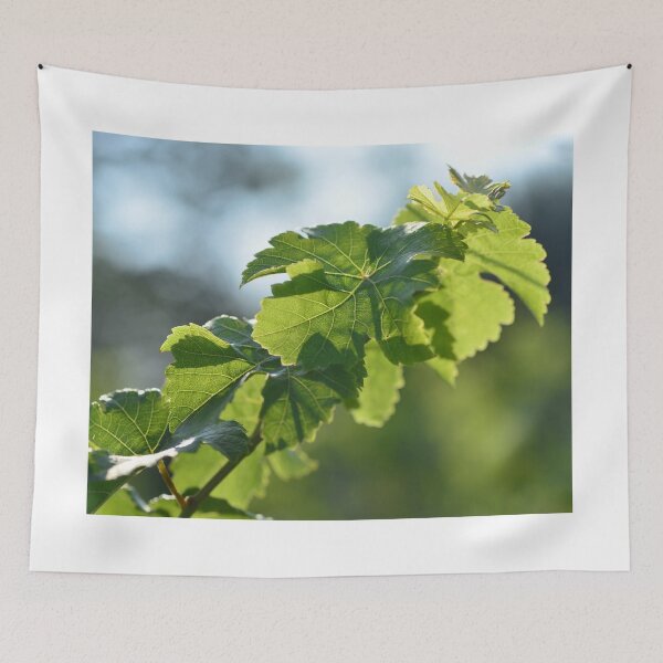 Item preview, Wine and vine photography: vine leaves designed and sold by wineandwords.