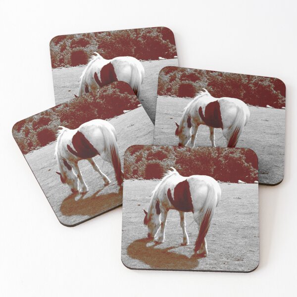 Aperçu de l'œuvre Piebald Horse broutant 3 créée et vendue par DesignsofNote.
