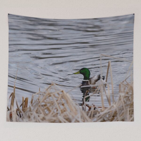 Item preview, Curious Mallard Duck designed and sold by ManiacMoose.