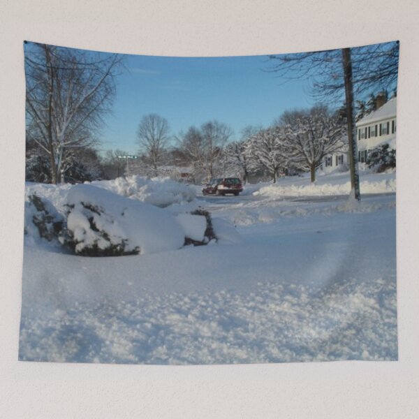 Item preview, SNOW COVERED DURING WINTER SEASON ALL WHITE designed and sold by findsbyjune374.