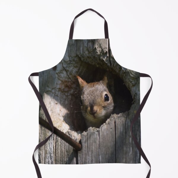 Item preview, Baby Red Squirrel In Bird House Nest designed and sold by ManiacMoose.