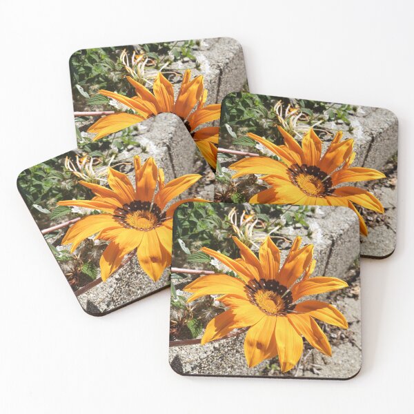 Item preview, Orange Flower Blooming near Concrete designed and sold by TheMadDabbler.