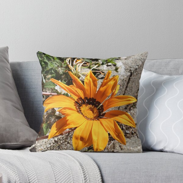 Item preview, Orange Flower Blooming near Concrete designed and sold by TheMadDabbler.