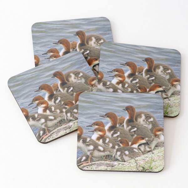 Item preview, Baby mergansers designed and sold by Janet Gosselin.