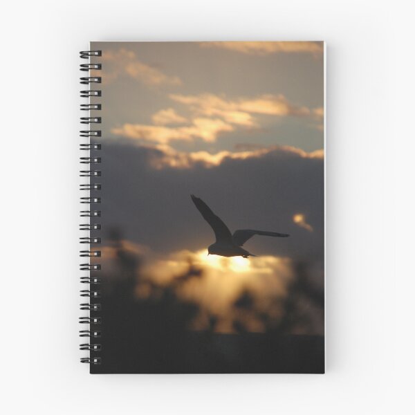 Item preview, Seagull Against the Sunset, Bathers Beach, Fremantle, WA designed and sold by Sandra Albin.
