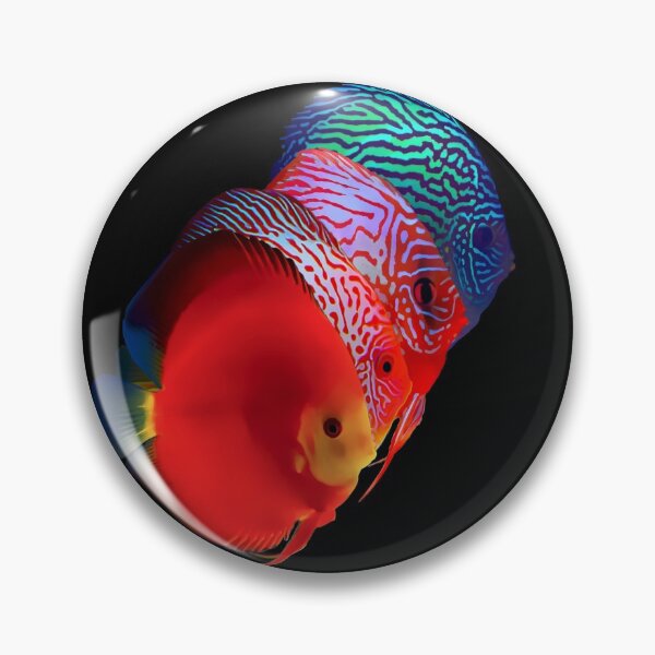 Item preview, Discus Fish Shirt designed and sold by GFishy.