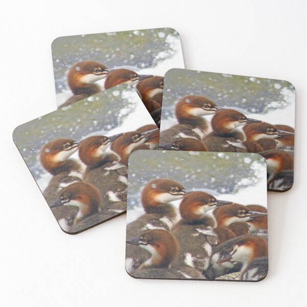 Item preview, Young mergansers designed and sold by Janet Gosselin.