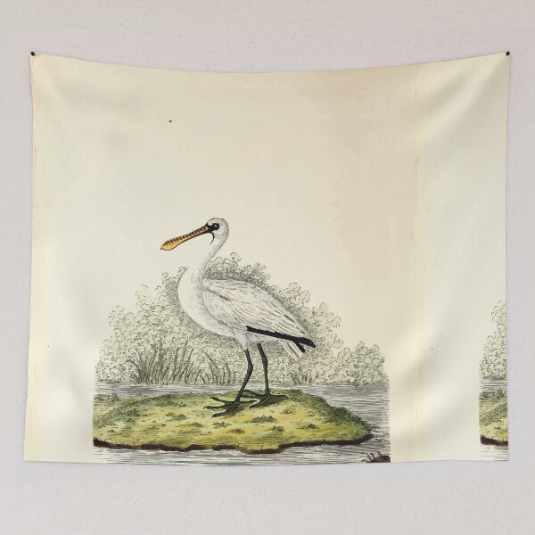 Item preview, British ornithology  being the history with a coloured representation of every known species of British birds George Graves 1821 030 designed and sold by WetdryvacRB01.